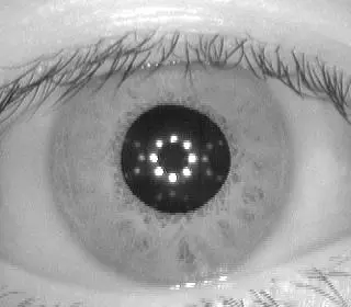 Iris